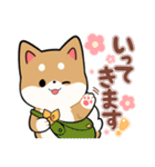 毎日使える★しば犬スタンプ（個別スタンプ：22）