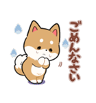 毎日使える★しば犬スタンプ（個別スタンプ：30）