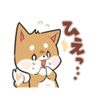 毎日使える★しば犬スタンプ（個別スタンプ：31）