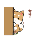 毎日使える★しば犬スタンプ（個別スタンプ：33）