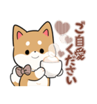 毎日使える★しば犬スタンプ（個別スタンプ：34）