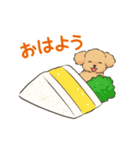 動く♪毎日☆トイプードルのスタンプ2（個別スタンプ：9）