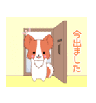 ちびパピヨン14【待ち合わせ】（個別スタンプ：7）