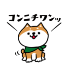 柴犬のキモチトークスタンプ（個別スタンプ：5）