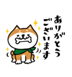 柴犬のキモチトークスタンプ（個別スタンプ：10）