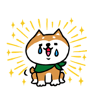 柴犬のキモチトークスタンプ（個別スタンプ：16）