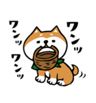 柴犬のキモチトークスタンプ（個別スタンプ：17）