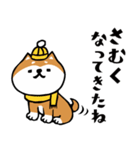 柴犬のキモチトークスタンプ（個別スタンプ：25）