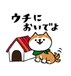 柴犬のキモチトークスタンプ（個別スタンプ：29）