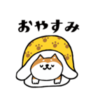 柴犬のキモチトークスタンプ（個別スタンプ：39）