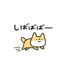 しょぼい柴犬（個別スタンプ：18）