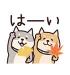 しばいぬ♡よく使う言葉たち（個別スタンプ：7）