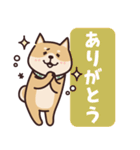 しばいぬ♡よく使う言葉たち（個別スタンプ：12）