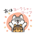 ほんわかしばいぬとフレンズ2（個別スタンプ：3）