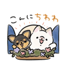 ほんわかしばいぬとフレンズ2（個別スタンプ：19）