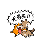 NORICOPO'S DOG ＆ HAMU-chan（個別スタンプ：9）