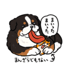 NORICOPO'S DOG ＆ HAMU-chan（個別スタンプ：14）