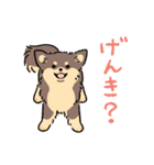 今日も犬が可愛いね（個別スタンプ：6）