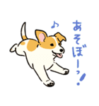 今日も犬が可愛いね（個別スタンプ：9）