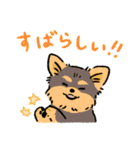 今日も犬が可愛いね（個別スタンプ：10）