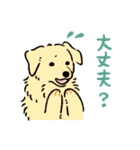 今日も犬が可愛いね（個別スタンプ：13）