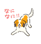 今日も犬が可愛いね（個別スタンプ：38）