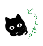 君も黒猫ちゃん（個別スタンプ：16）