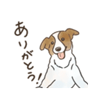 我が家へようこそ！保護犬支援スタンプ（個別スタンプ：3）