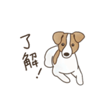 我が家へようこそ！保護犬支援スタンプ（個別スタンプ：6）