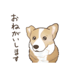 我が家へようこそ！保護犬支援スタンプ（個別スタンプ：17）