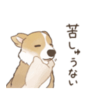 我が家へようこそ！保護犬支援スタンプ（個別スタンプ：21）