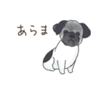 我が家へようこそ！保護犬支援スタンプ（個別スタンプ：33）