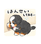 赤ちゃんわんこたち！2 (色んな犬種)（個別スタンプ：32）