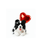 Dog with Balloon❤（個別スタンプ：13）