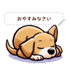 犬さん スタンプ2（個別スタンプ：12）