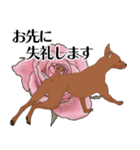 ミニピンと犬の日キャンペーン（red）（個別スタンプ：13）