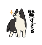 犬とさびお（個別スタンプ：19）