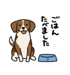 犬とさびお（個別スタンプ：28）