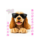 ダジャレ犬⭐ワンダフルライフ（個別スタンプ：8）