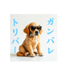 ダジャレ犬⭐ワンダフルライフ（個別スタンプ：24）