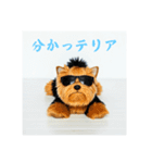 ダジャレ犬⭐ワンダフルライフ（個別スタンプ：34）