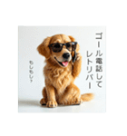 ダジャレ犬⭐ワンダフルライフ（個別スタンプ：37）