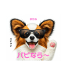 ダジャレ犬⭐ワンダフルライフ（個別スタンプ：40）