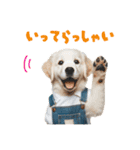 可愛いゴールデン仔犬のサロペット（敬語）（個別スタンプ：23）