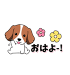 背景動く‼犬スタンプ＃5『コイケル』（個別スタンプ：5）