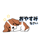 背景動く‼犬スタンプ＃5『コイケル』（個別スタンプ：12）