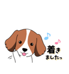 背景動く‼犬スタンプ＃5『コイケル』（個別スタンプ：22）