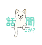 柴犬スタンプ -水彩風-（個別スタンプ：23）