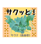 沖縄の食材大好き！沖縄行きたい。（個別スタンプ：3）