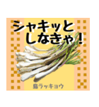 沖縄の食材大好き！沖縄行きたい。（個別スタンプ：5）